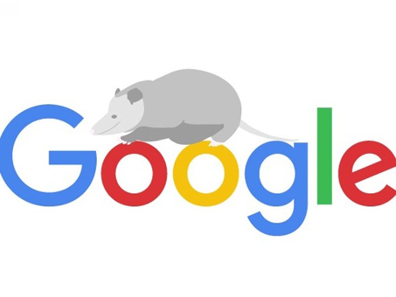 الگوریتم موش کور گوگل (possum) چیست؟